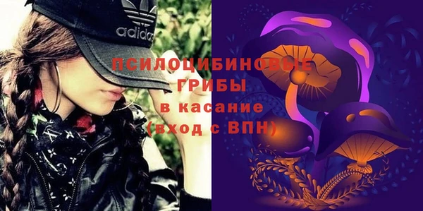 ешки Алексеевка