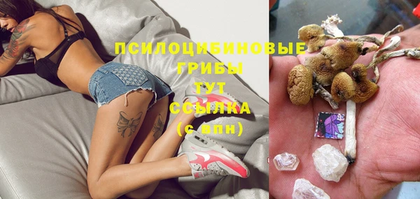 ешки Алексеевка