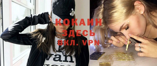 ешки Алексеевка