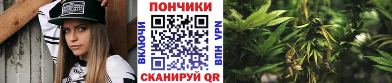 купить наркотик  Нефтекамск  Конопля OG Kush 